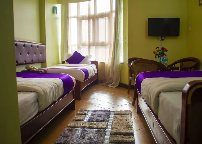 New Hotel Aquiline
