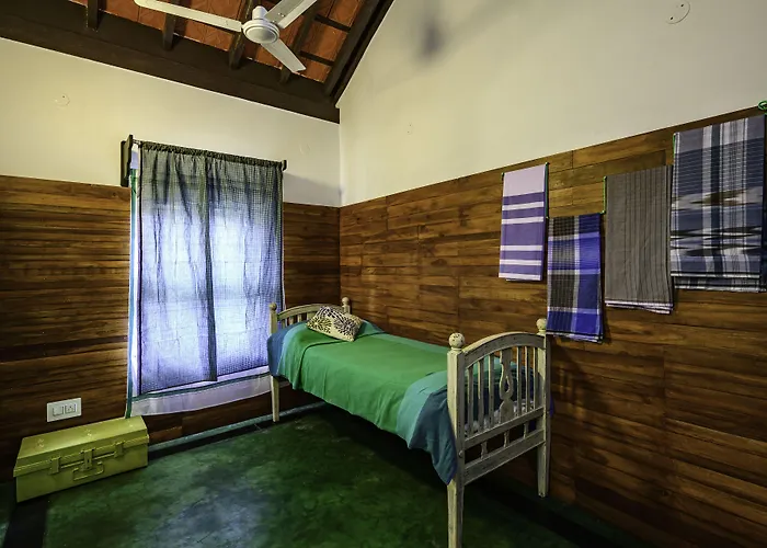 Neemrana'S Coconut Alley