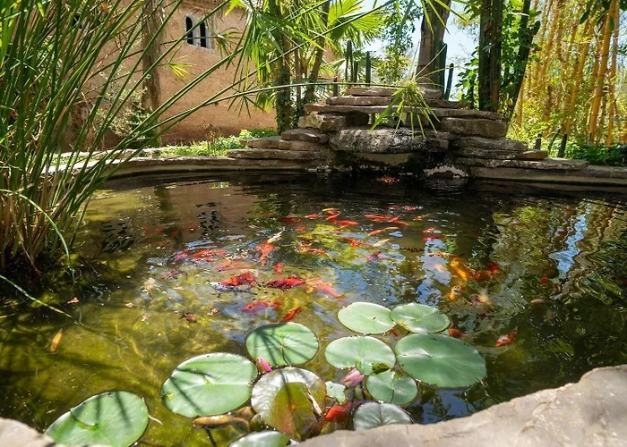 Hotel Molino Garden