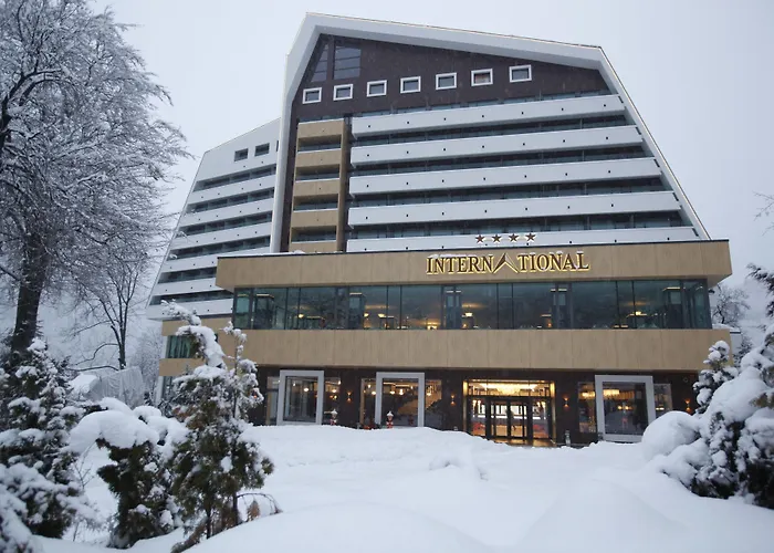 Hotel International