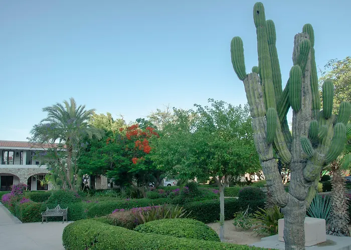 Pedregal Suites - Marina And Downtown