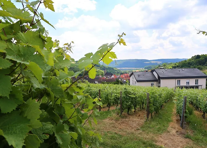 BENZ Weingut&Weinhotel