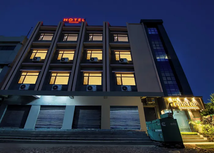Treebo Trinetar International