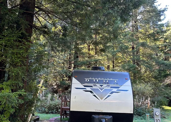 Puma The Rv