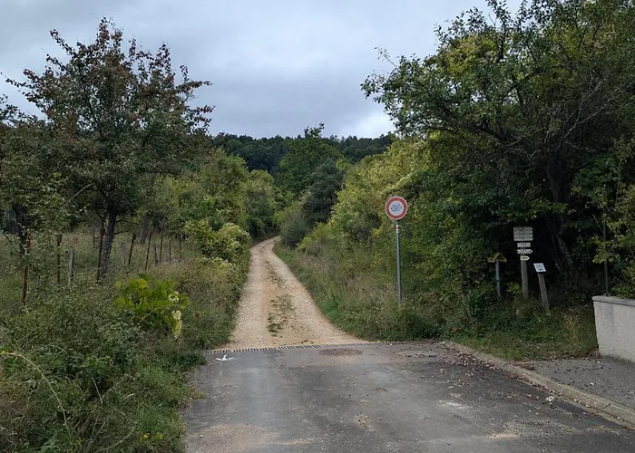 La Cabane Du Druide Karvalan