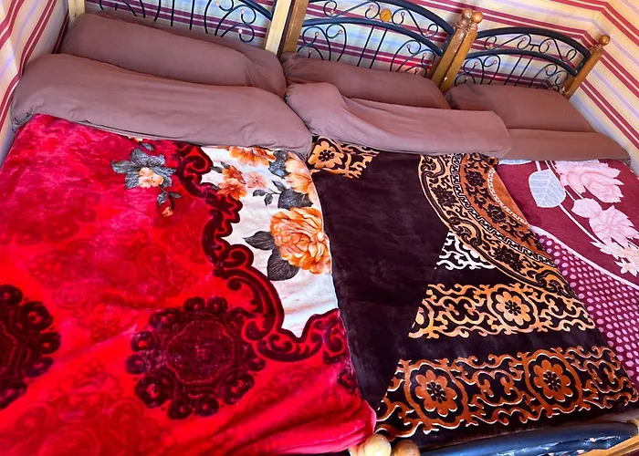 Bedouin Camp&Tour