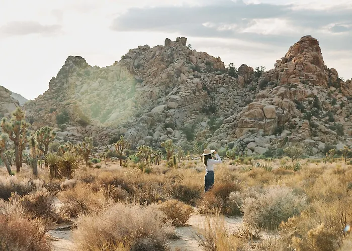 Field Station Joshua Tree