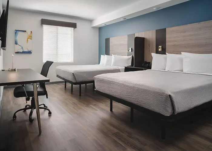 Stayapt Suites San Antonio-Randolph