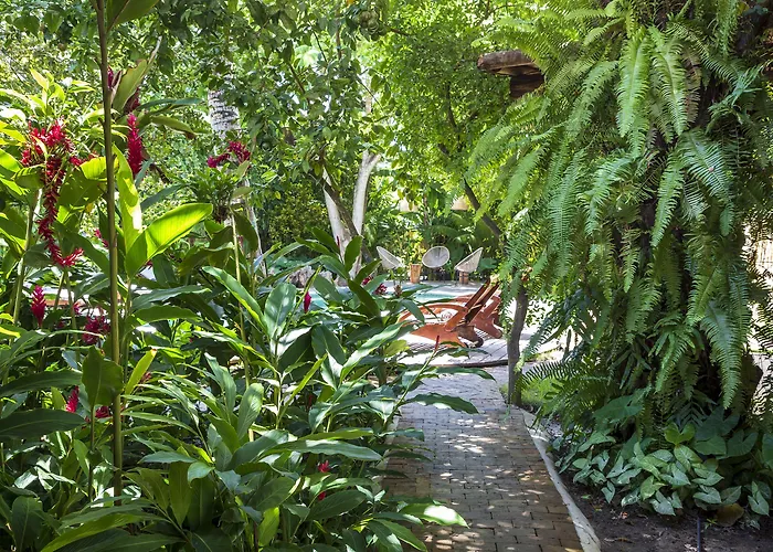 Casa Das Aguas Trancoso