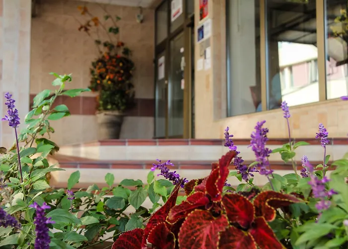 Hotel Junior Podebrady