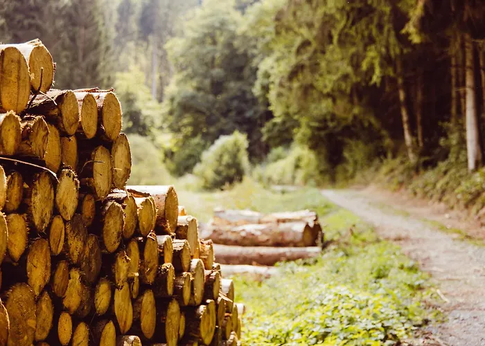 Houten Natuurhuisje Hikershut