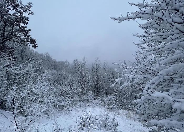 Valley Overlook