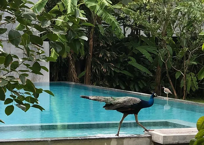 Paradise Garden Beruwala