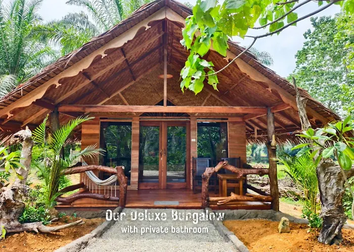 Thejungleguide - Lodges & Treks
