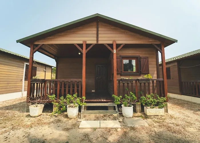 Holacamp Albufeira