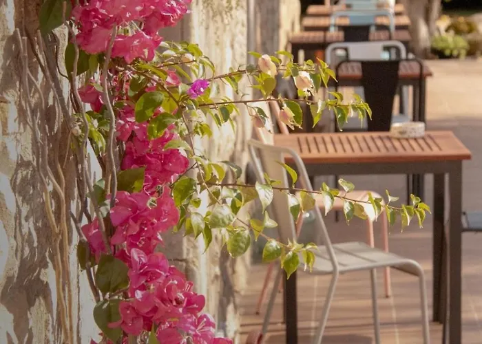 Mas Ribas Hotel I Esdeveniments