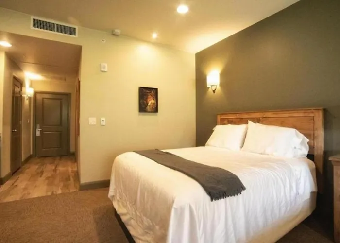 Driftwood Lodge Springdale