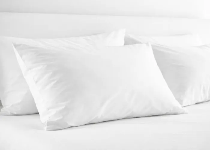 Holiday Inn Austin North By Ihg