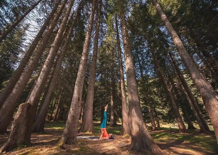 Sarca Lodge Val Rendena