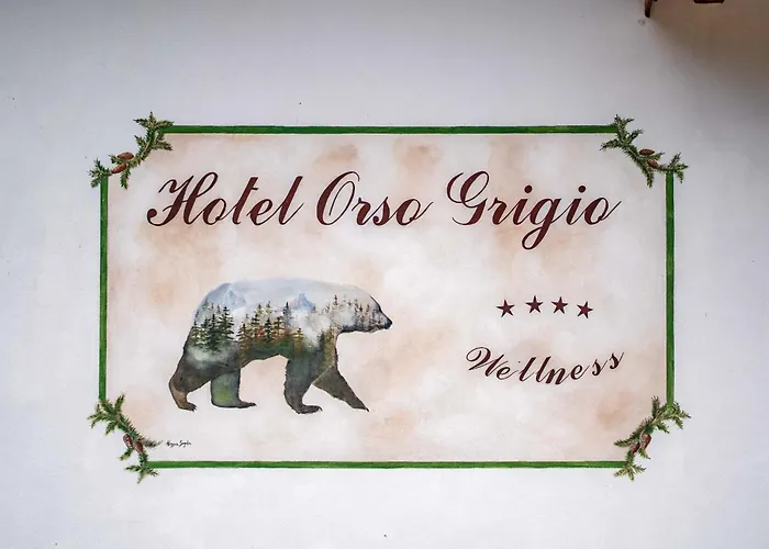 Hotel Orso Grigio