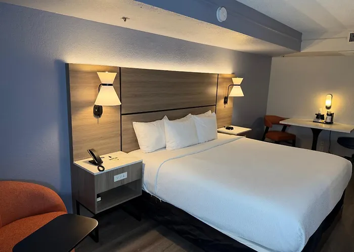 La Quinta By Wyndham St Petersburg-Clearwater