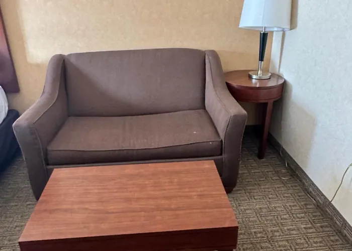 Comfort Inn & Suites Hamburg - Buffalo South