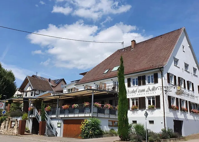 Gasthof Zum Adler - Wahlwies-3 Km Z Bodensee Hotel Geoeffnet - Rest-Mo-Di-Geschl