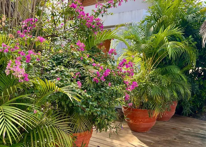 Leeloo Boutique Hotel