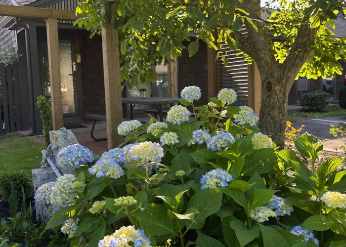 Cape Cod Veranda