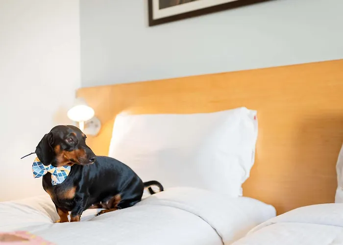 Ibis Chennai Sipcot - An Accor Brand