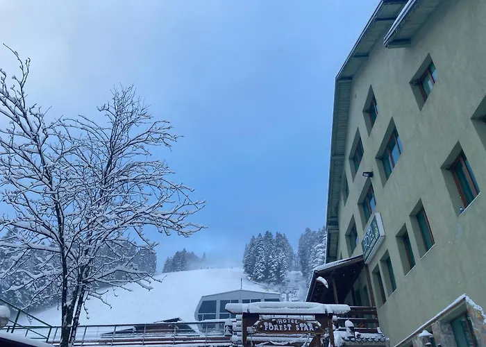 Hotel Forest Star On The Ski Slope