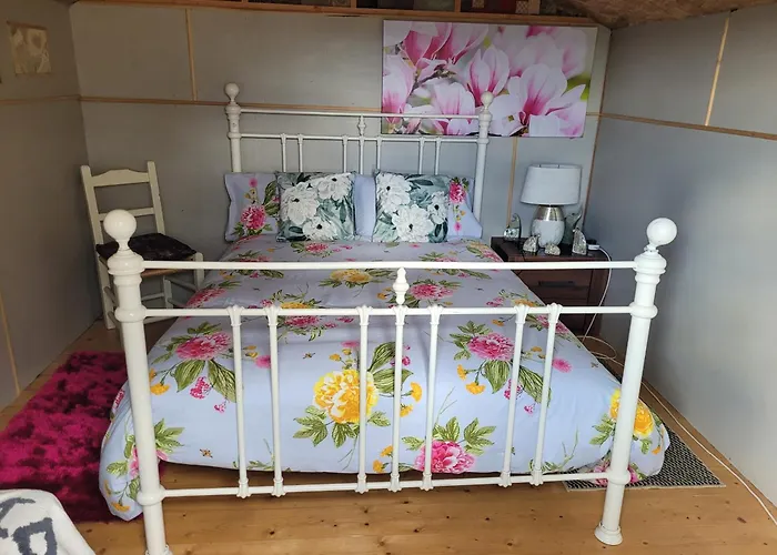 Shannon Estuary Glamping Budget-Sustainable-Biodiversity Habitat--Rustic-Countryside Holiday Accommodation