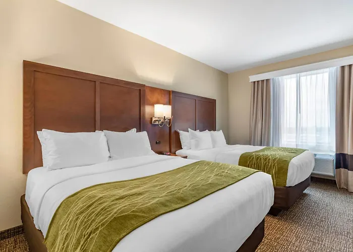 Comfort Suites San Antonio Ft Sam Houston-Sammc Area