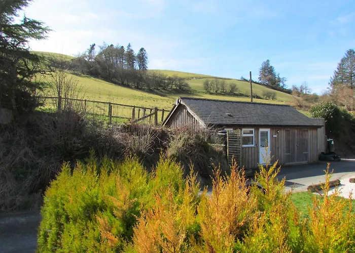 Wild Valley Bunkhouse