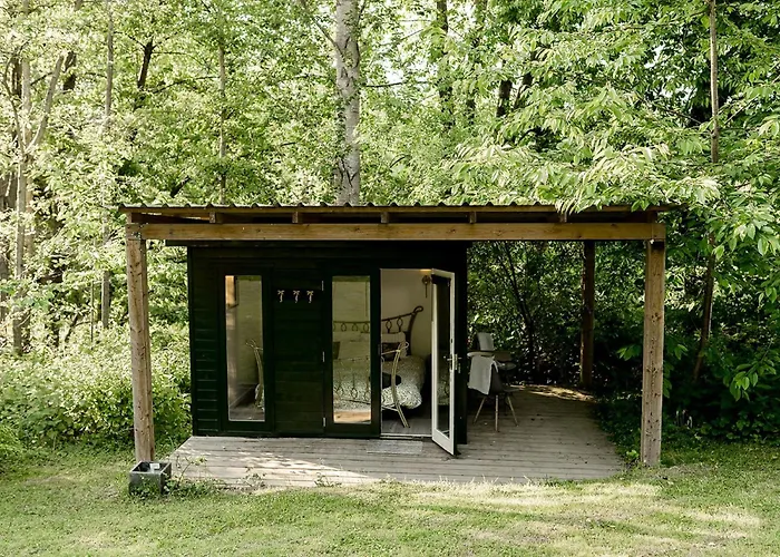 Stay Wild Retreats 'Glamping Pods And Tents'