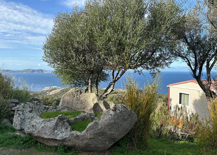 Camping Monte Ortu