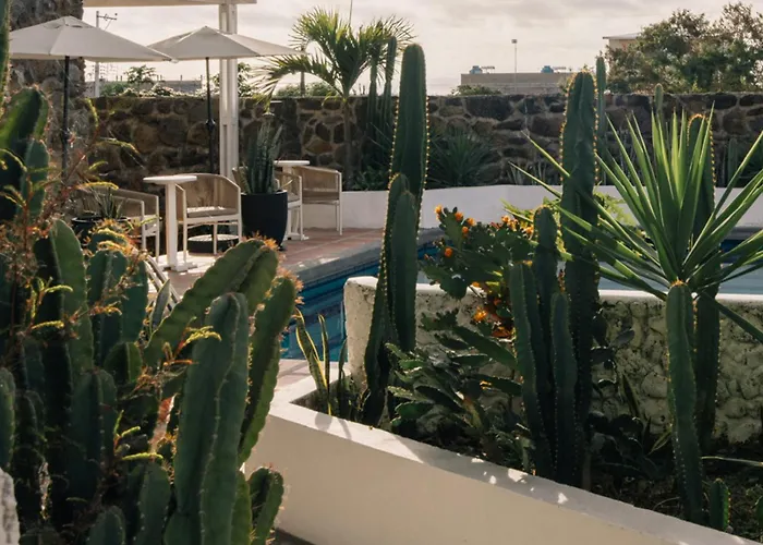 Hotel Pimampiro