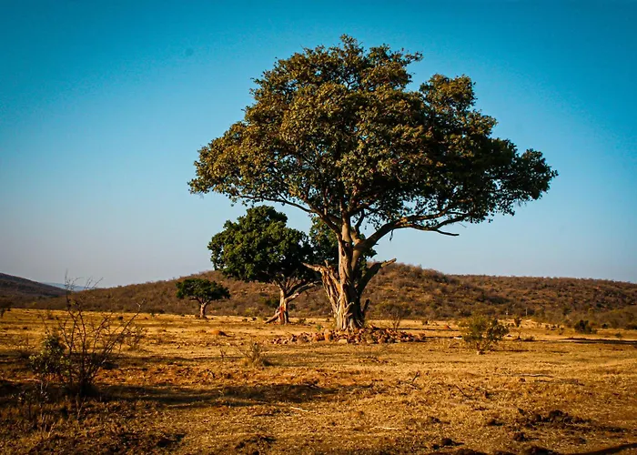 Ilanga Lodge Welgevonden Game Reserve