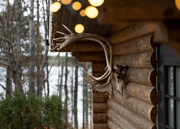 Rafi - The Village Of Silence Resort, Aurorahut Igloo