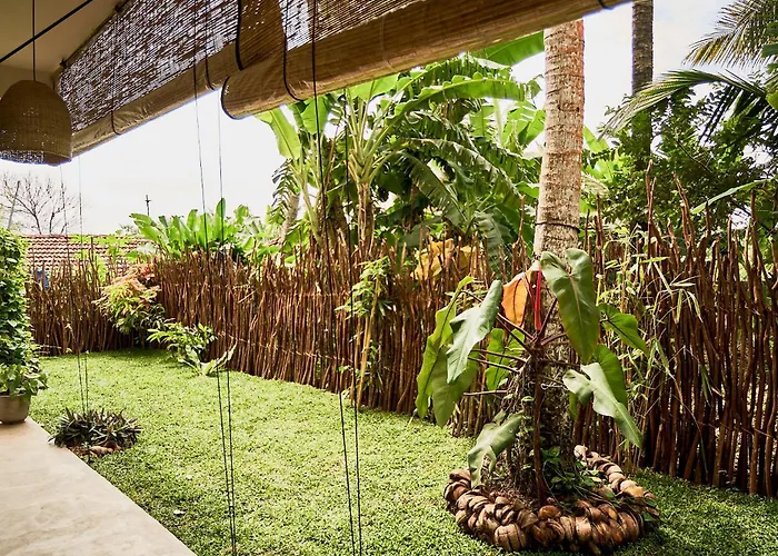 Casa Banana