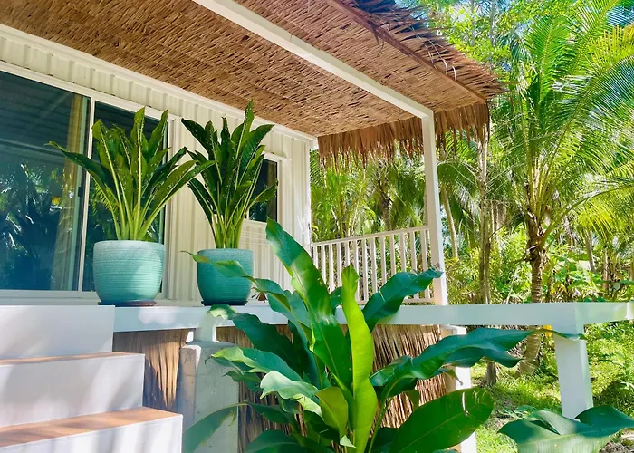 Secret Palm