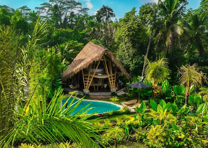 Lazy Coconut Bali