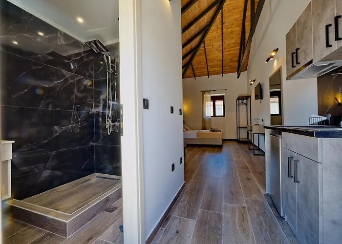 4 Lemons Luxury Studios