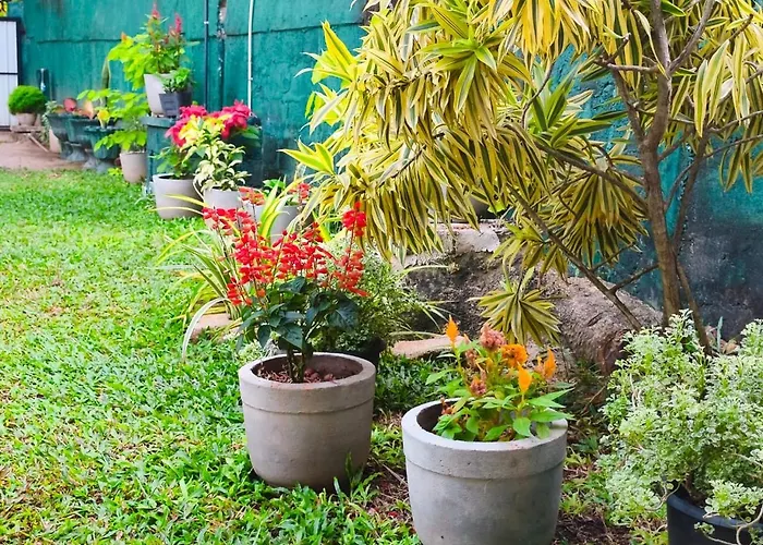 Tn Travel Inn - Katunayake