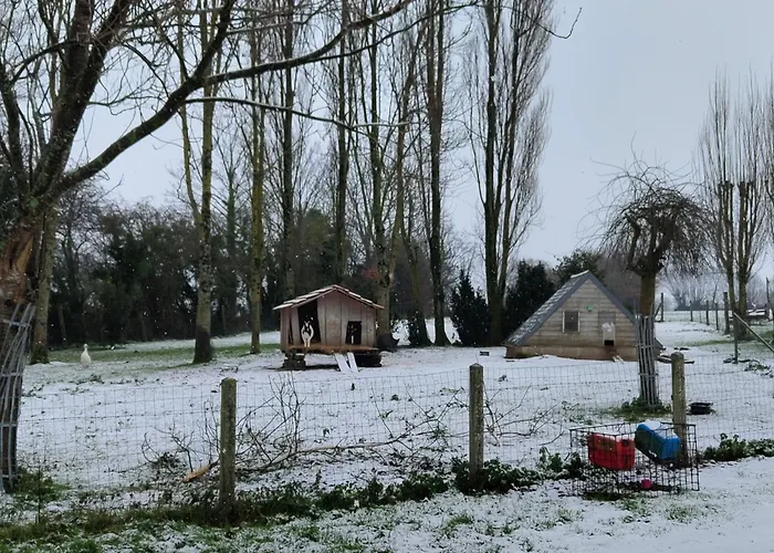 Au Silence Des Peupliers