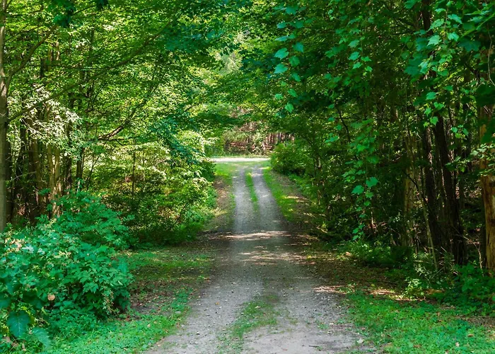 Letchworth Valley Campground Cabins