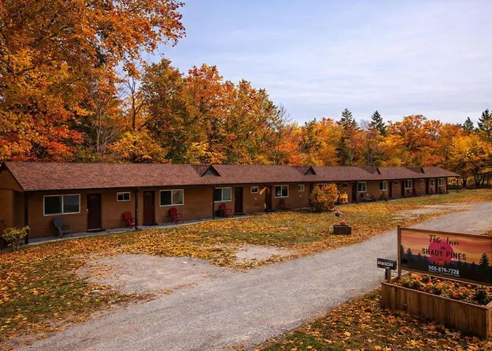 The Inn At Shady Pines