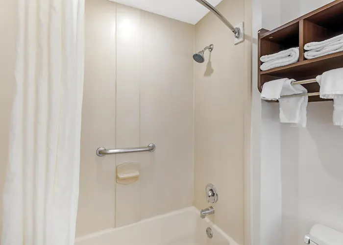 Best Western Plus Mcdonough Inn & Suites