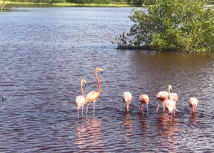 Cabanas Cinco Elementos