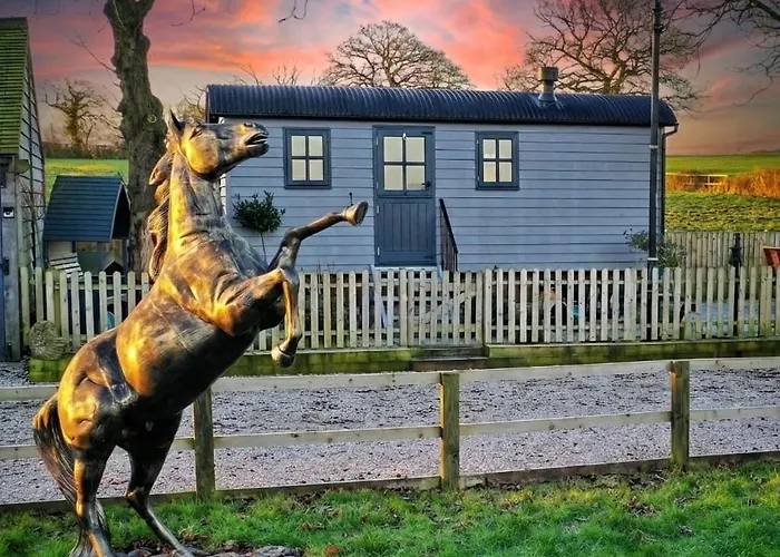 Owls Retreat, Meadowview House